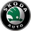 Skoda чип-тюнинг